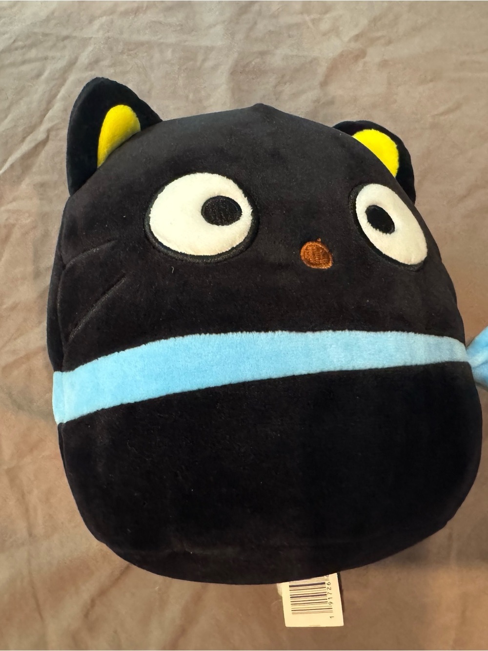 Chococat by Sanrio.  Squishmallow.